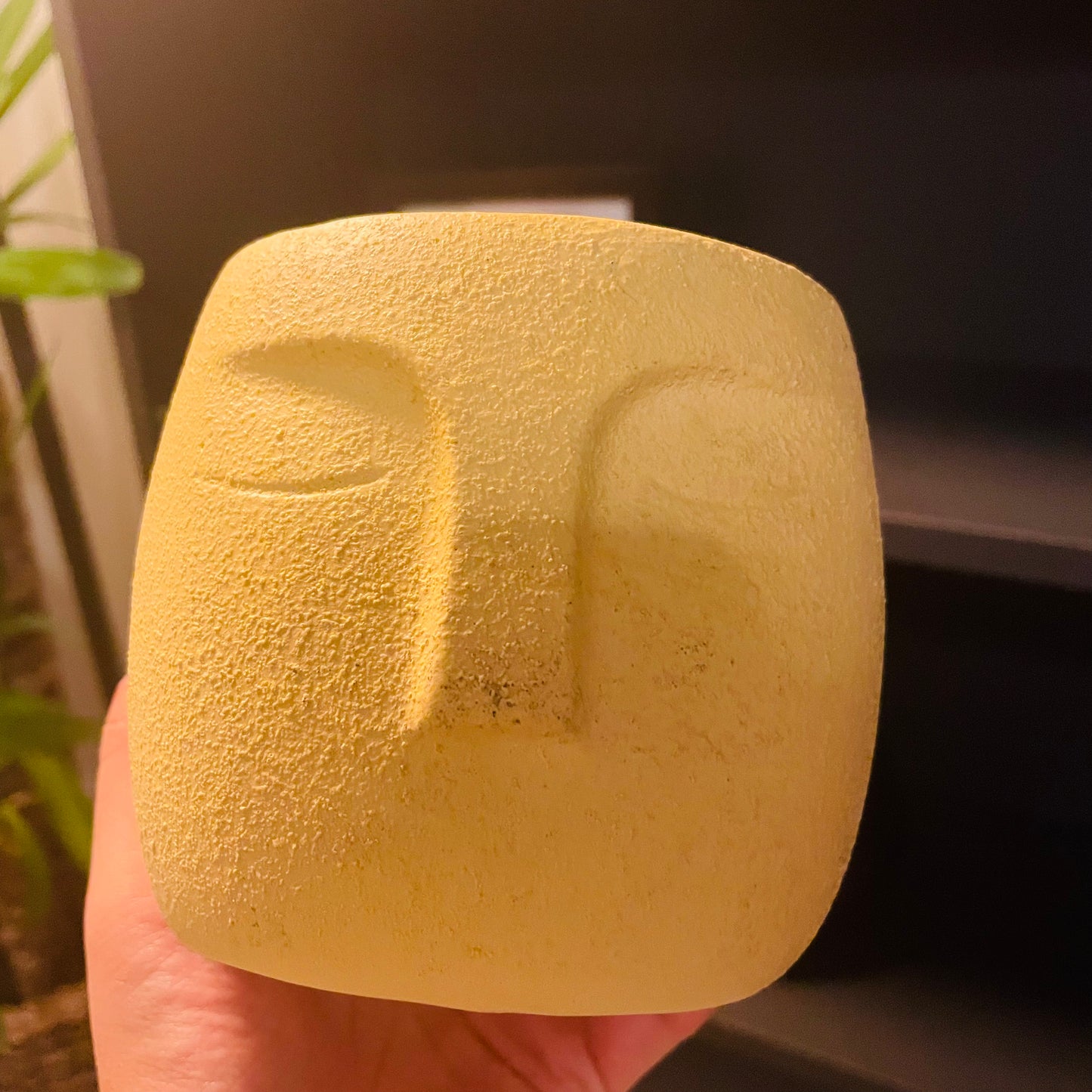 Funky Face Pot